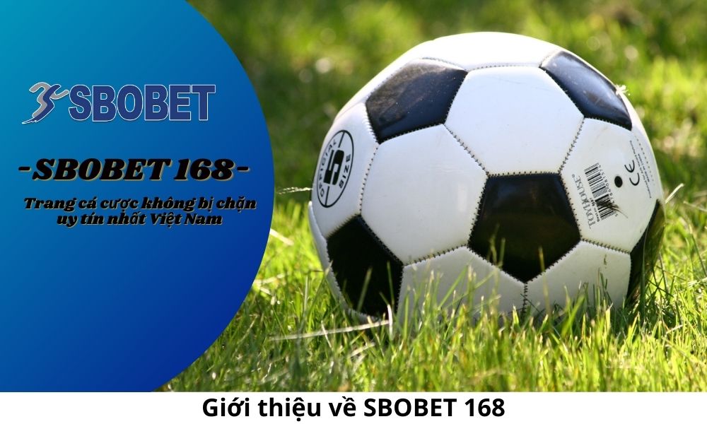 Giới thiệu về SBOBET 168
